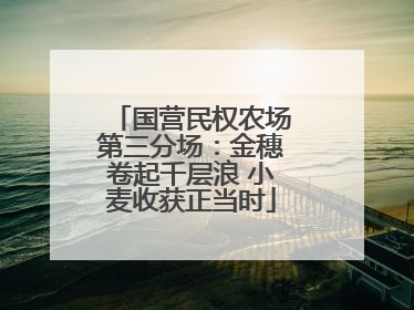 国营民权农场第三分场：金穗卷起千层浪 小麦收获正当时